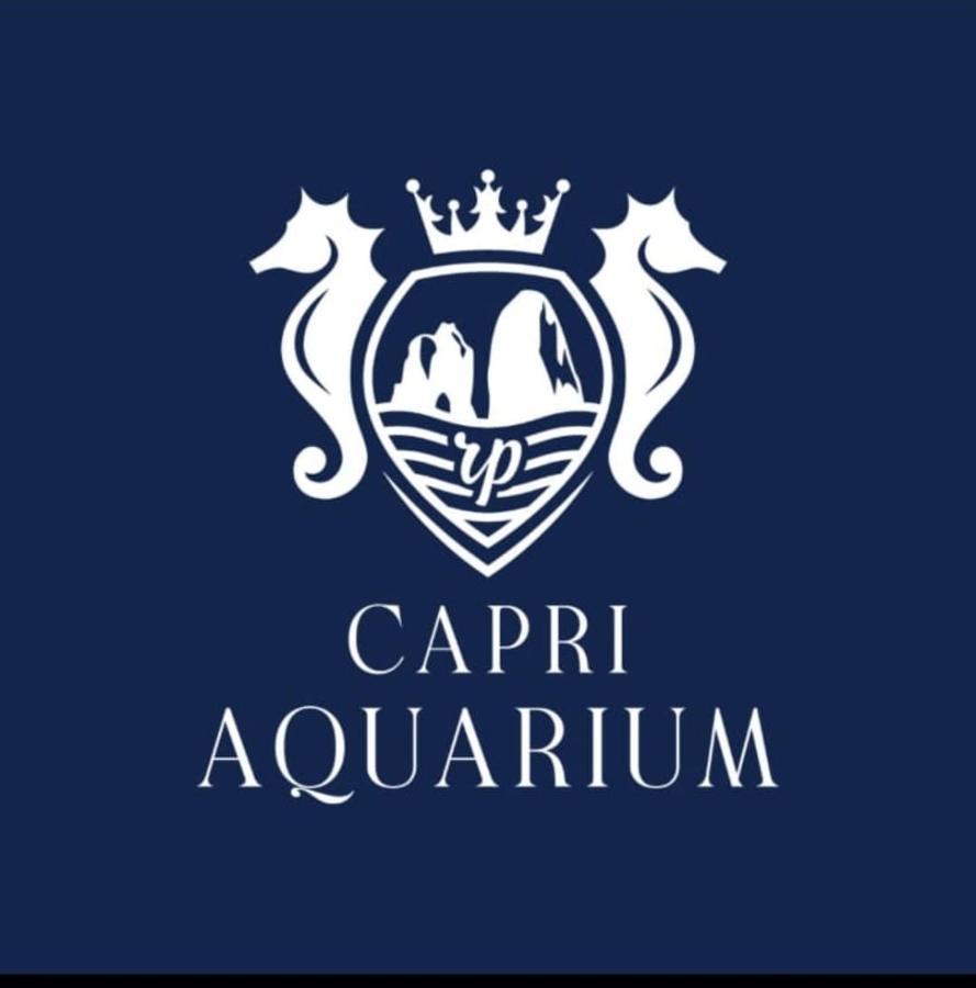 Capri Aquarium Family - Vacation Home מראה חיצוני תמונה